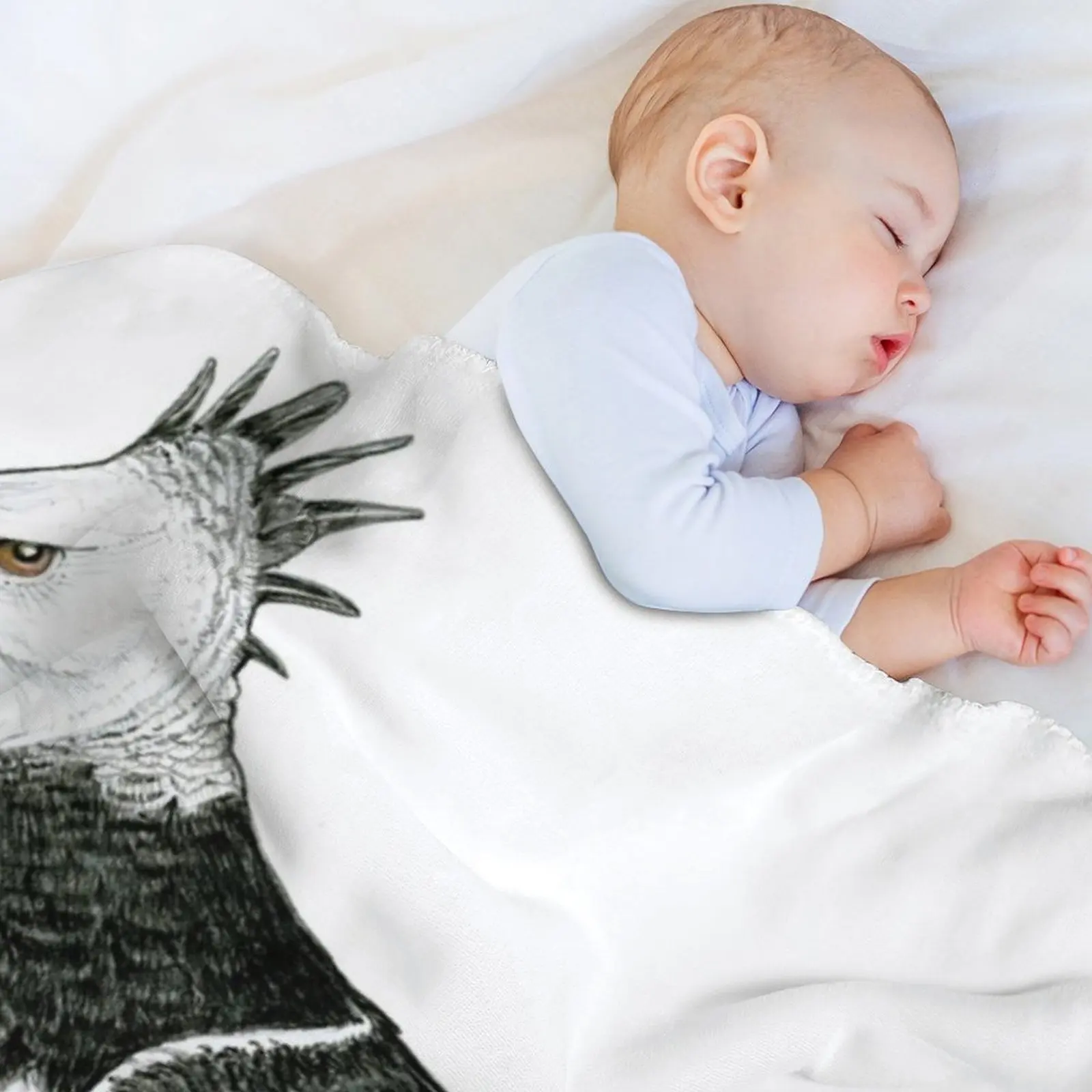 Harpy Eagle in Old Man Velcro  - Men'S Shoes With Velcro のレビューと価格